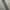 Nike Sportswear Casual Pria gray photo 5