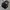 Charles and Keith Luxury Futurist Tote bag Wanita gold black photo 5