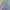 Minimalist Short Kids blue photo 2