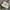 Reebok Gorpcore Casual Sneakers Pria white photo 5