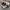 Gorpcore Casual Sneakers Pria white black photo 2