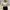 Y2K Casual Crop top Wanita white photo 1