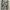 ZARA Casual Sweatshirt Pria white black photo 2