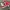 New Balance Streetwear Casual Sneakers Pria red photo 2