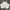 H&M Streetwear Casual High waisted jeans Wanita white photo 4