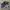Adidas Streetwear Casual Sneakers Pria White Black