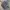Adidas Streetwear Casual Sneakers Pria white black photo 5