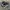 Adidas Streetwear Casual Sneakers Pria white black photo 2