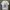 Japanese brand Vintage Y2K T-shirt Pria white photo 1