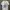 Japanese Brand Vintage Y2K T-shirt Pria White