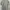 Japanese brand Vintage Y2K T-shirt Pria gray photo 2