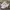 Adidas Streetwear Casual Sneakers Pria White Gray