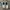 Adidas Streetwear Casual Sneakers Pria white gray photo 3
