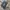 Adidas Streetwear Casual Sneakers Pria white gray photo 5
