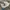 Adidas Streetwear Casual Sneakers Pria white gray photo 2