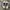 Adidas Streetwear Casual Sneakers Pria white gray photo 4