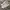 Adidas Streetwear Casual Sneakers Pria White Gray