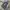 Adidas Streetwear Casual Sneakers Pria white gray photo 5