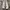 Adidas Streetwear Casual Sneakers Pria white gray photo 3