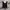 Grunge Goth Shirt Wanita black photo 1