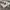 Adidas Streetwear Casual Sneakers Pria white gray photo 2