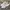 Adidas Streetwear Casual Sneakers Pria White Gray