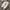 Adidas Streetwear Casual Sneakers Pria white gray photo 5