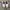 Adidas Streetwear Casual Sneakers Pria white gray photo 3