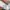 Adidas Streetwear Casual Sneakers Pria white gray photo 6