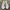 Adidas Streetwear Casual Sneakers Pria white gray photo 4