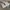 Adidas Streetwear Casual Sneakers Pria gray photo 2