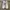 Adidas Streetwear Casual Sneakers Pria gray photo 4