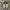 Adidas Streetwear Casual Sneakers Pria gray photo 3