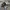 Adidas Streetwear Casual Sneakers Pria White Black