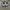 Adidas Streetwear Casual Sneakers Pria white black photo 4