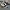 Adidas Streetwear Casual Sneakers Pria white black photo 2