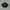 Gorpcore Pria Black
