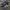 Adidas Streetwear Casual Sneakers Pria White Black