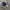 Adidas Streetwear Casual Sneakers Pria white black photo 3