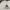 Le Coq Sportif Streetwear Casual Sweater Pria white photo 2