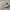 Puma Emo Casual Sneakers Pria white cream photo 1