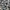 Casual Track jacket Pria black gray photo 4