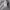 Back Number Streetwear Casual Hoody Pria gray photo 4
