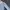 Luxury Casual Cardigan Wanita white blue photo 3