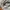 Nike Streetwear Sportswear Sweatpants & Joggers Pria gray photo 6