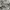 Nike Streetwear Sportswear Sweatpants & Joggers Pria gray photo 5