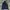 Adidas Casual Sweater Pria navy photo 1