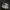 Adidas Indie Casual Sneakers Pria white gray photo 1