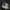 Adidas Indie Casual Sneakers Pria White Gray