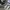 Adidas Indie Casual Sneakers Pria white gray photo 3